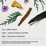 Body Lotion | Saffron & Cedar