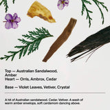 Body Lotion | Santal & Vetiver