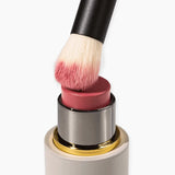 Baby Blender Brush