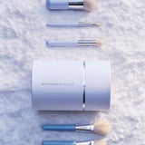 Collection de pinceaux pour le teint