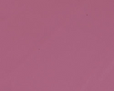 Balmy Gloss Tinted Lip Oil | Huile à lèvres teintée